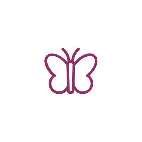 an icon of a butterfly