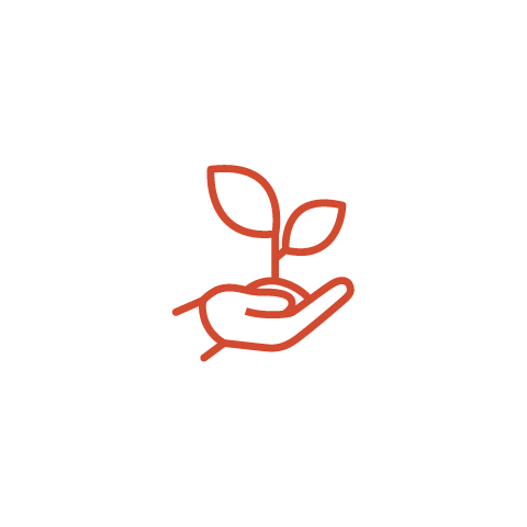 a hand holding a sprouting plant