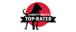a dog standing on top of a hill with the words charity watch top rated